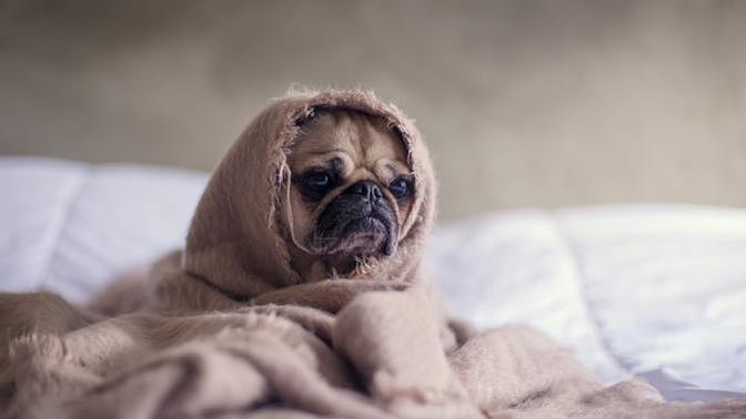 What's the most egregious way you've been awoken?