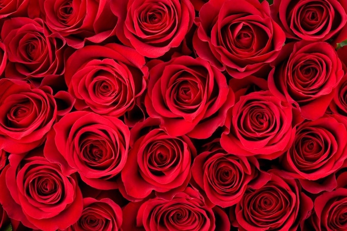 Would you rather have your farts smell like roses or spoiled milk?