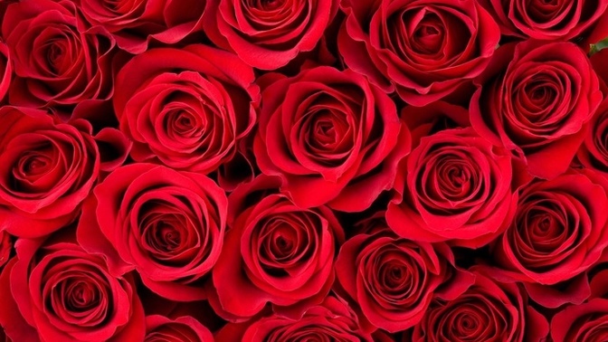 Would you rather have your farts smell like roses or spoiled milk?