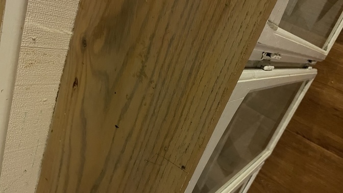 How can I make this look neat?
