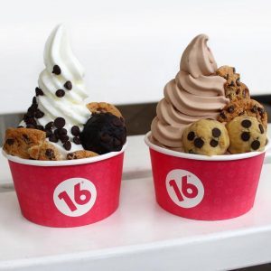 Which do you prefer frozen yogurt or ice cream?