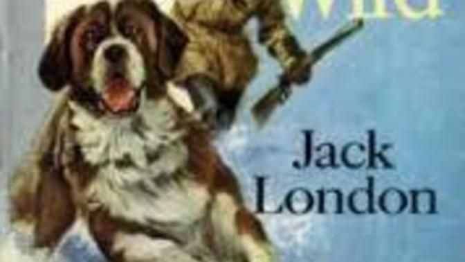 What are your favorite books?