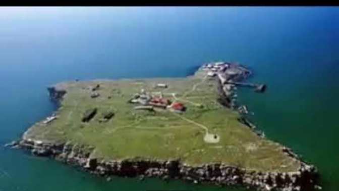 Thoughts on Russian attack on Snake Island?