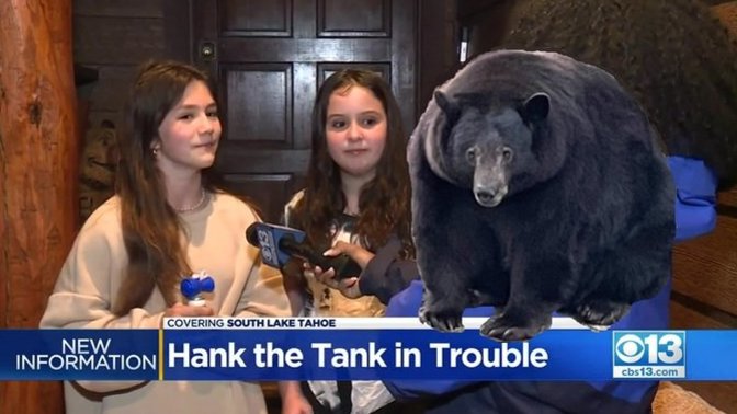 Was Hank the Tank falsely accused?