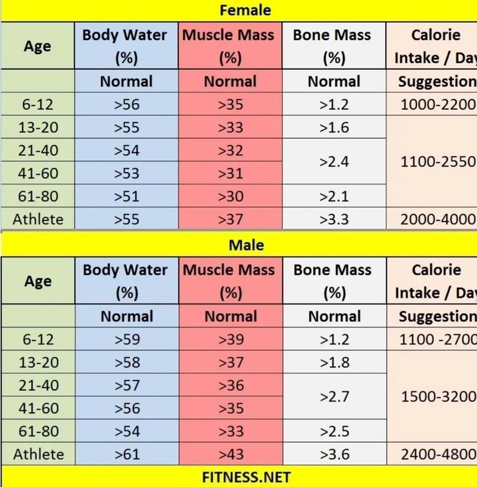How strong physically are men compared to women?