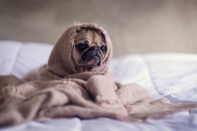 Whats your security blanket?