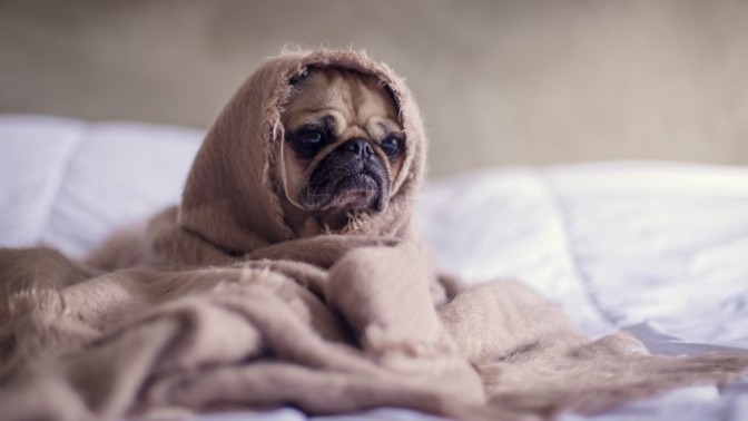 What's your security blanket?