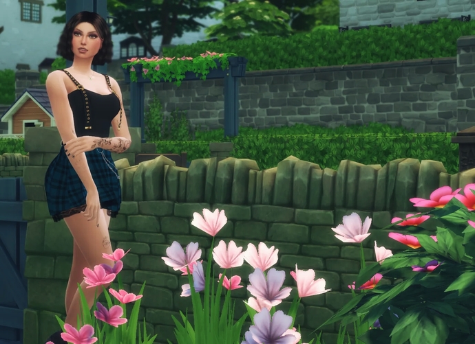 What do you think of my sim?