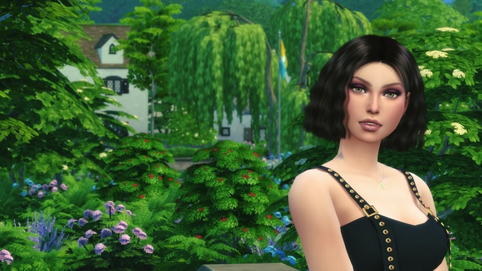 What do you think of my sim?