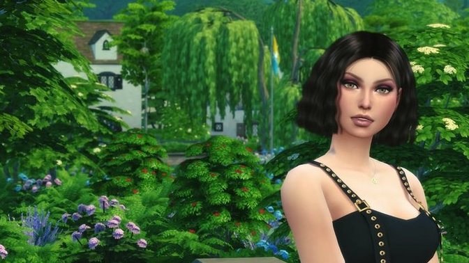 What do you think of my sim?