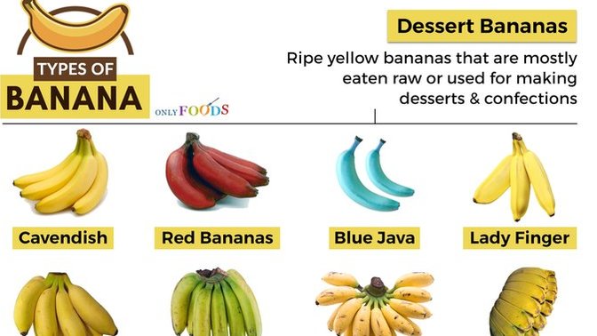 What is your favourite type of banana 🍌 ?