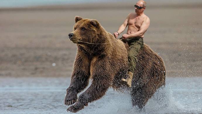 Don't Mess With the Russian Bear