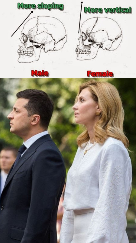 Do you think the Ukrainian president is hot?