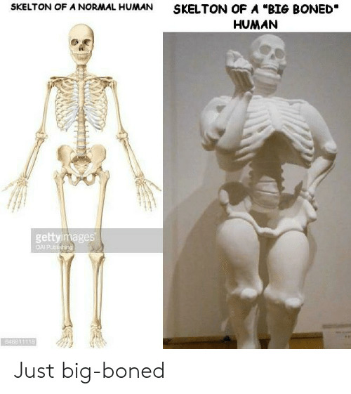 My before and after