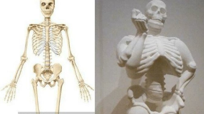 Is Big Boned a thing, or is it BS?