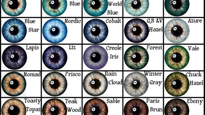 What’s your eye color (based on the pics)?