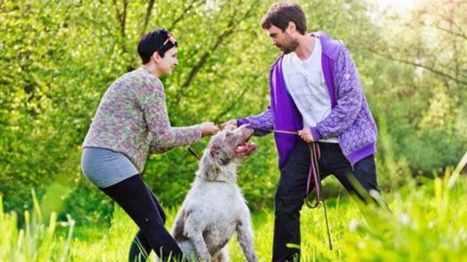 Why do pet owners get upset when you confront them to pick up their dog poop 💩 ?