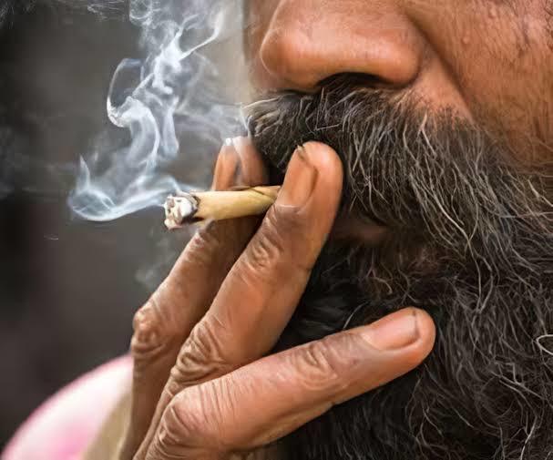 Have you ever smoked hookah?