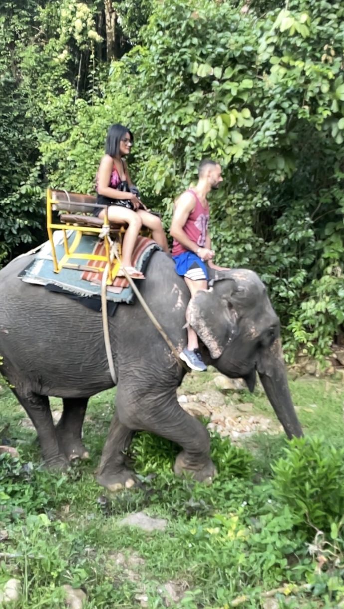 Should elephant poaching be illegal?