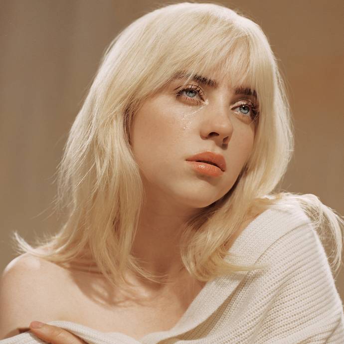 Do you find Billie Eilish hot?