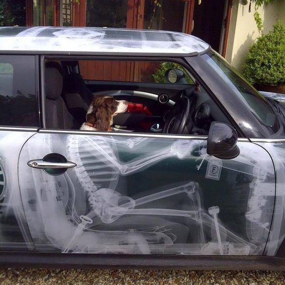 #ThisIsNotAPoll What are your fave colors on your fave cars (post examples)?