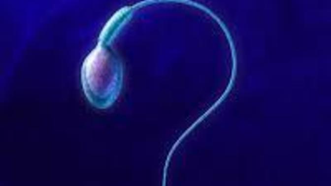 How would you feel if you got to know that you're infertile?