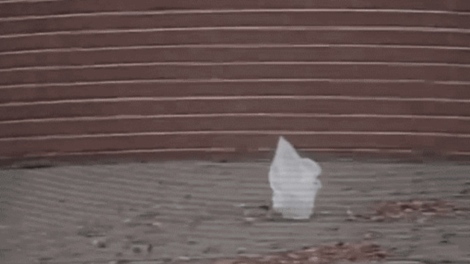 What would you think if you saw a bag ‘dancing’ in the wind while you’re walking?
