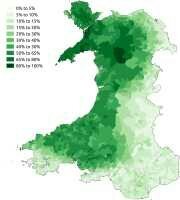 Is your primary (first) language the main language of the place where you now live?