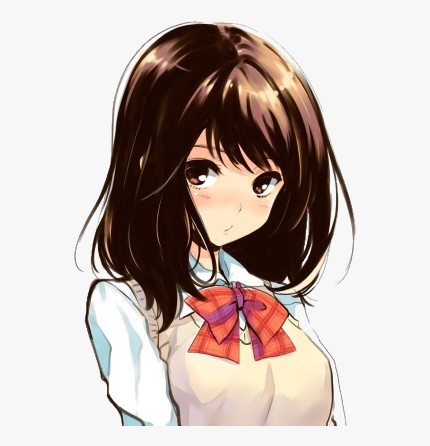 How much do you like anime?