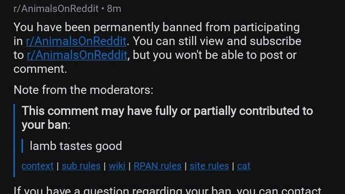 Why is Reddit filled with snowflakes who can't people with a different opinion?