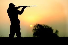 Hunters. hunting bows or hunting firearms?
