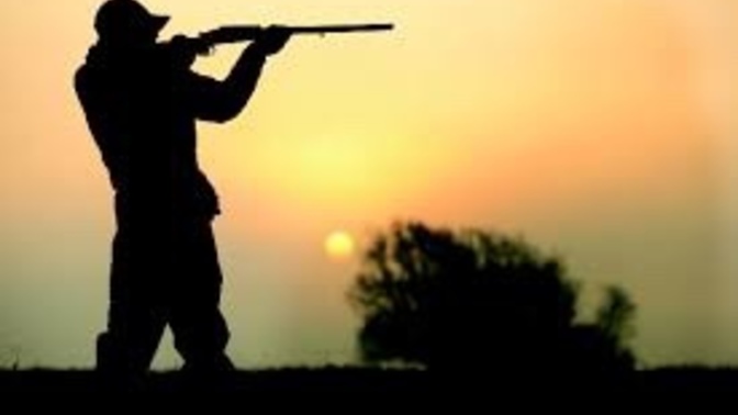 Hunters. hunting bows or hunting firearms?