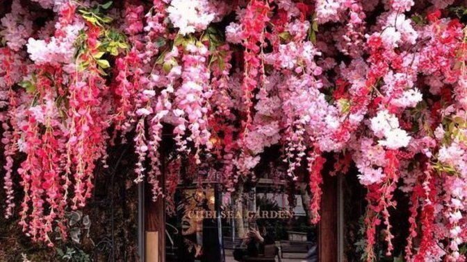 What are your favorite flowers?