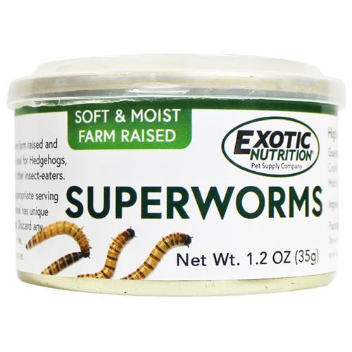 Has anyone ever tricked you into eating a bug or did you ever eat one by mistake?