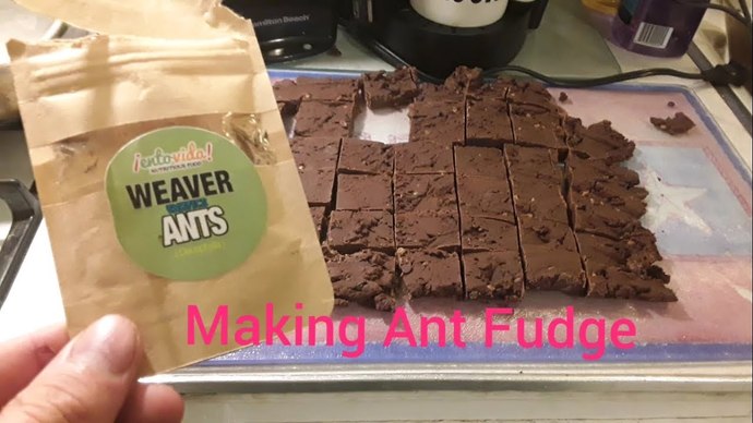 Has anyone ever tricked you into eating a bug or did you ever eat one by mistake?