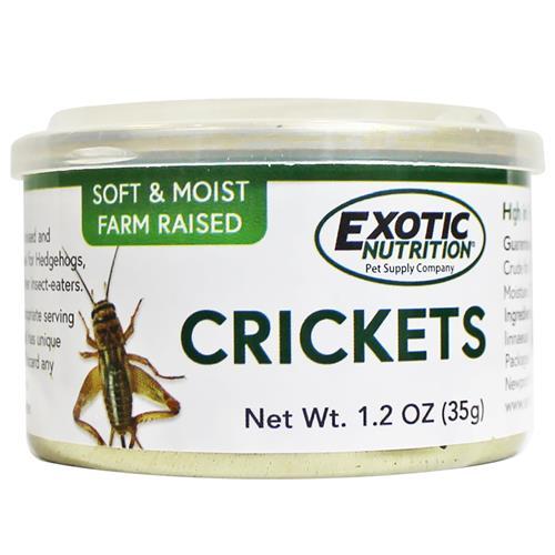 Has anyone ever tricked you into eating a bug or did you ever eat one by mistake?