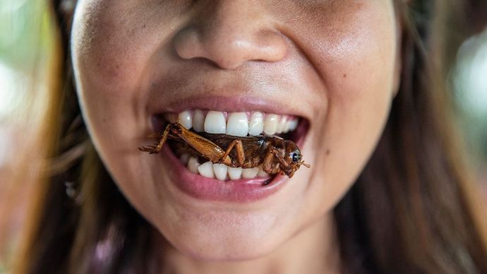 Has anyone ever tricked you into eating a bug or did you ever eat one by mistake?