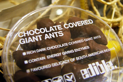 Has anyone ever tricked you into eating a bug or did you ever eat one by mistake?