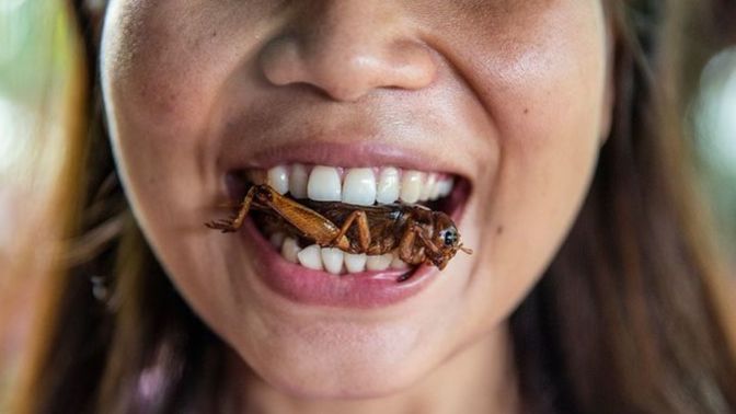 Has anyone ever tricked you into eating a bug or did you ever eat one by mistake?