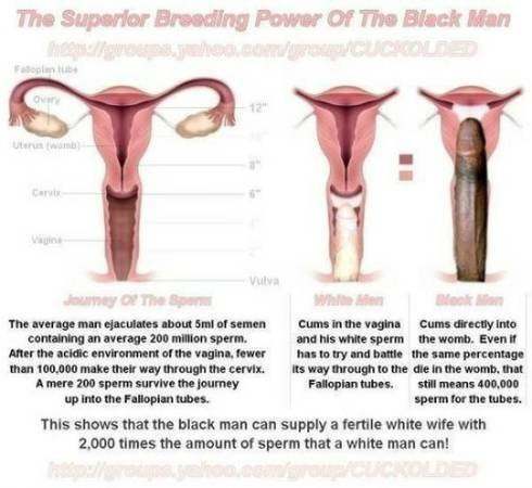 Is it true white girlz prefer black dick?
