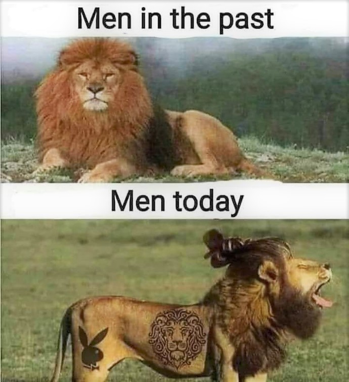 Why have men changed so much over the years? Why have they gone from manly and macho to effeminate and wusses?