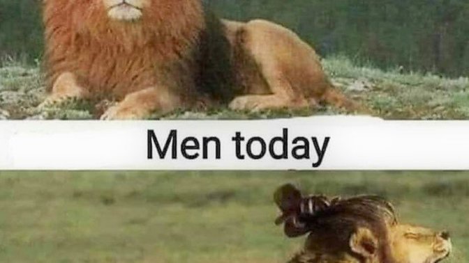 Why have men changed so much over the years? Why have they gone from manly and macho to effeminate and wusses?