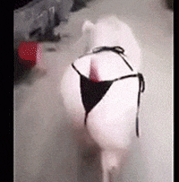 Is it just me or you have also seen too many "What type of underwear you are wearing/like?" on here?