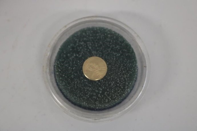 Which coins are the best , how many and which do you have?