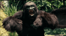 Girls, if Tarzan wanted to date you would you accept?