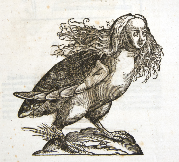 Rate this mythological creature out of five: Harpy?