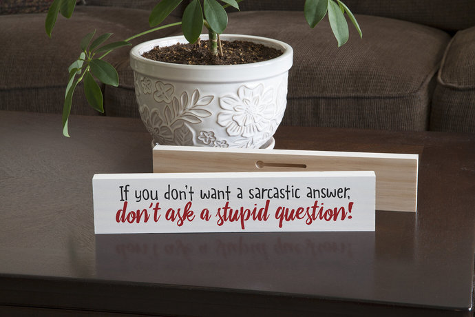 Which of the Survey choices do you think is most applicable to the way a woman thinks?