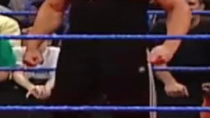 What type of muscle does Brock Lesnar have specifically in terms of definition? Lean, Bulky, Chiseled, or Shredded?