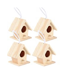 What do you think of this bird house?