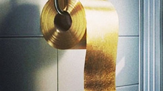 Toilet Alert!!! What would you do?